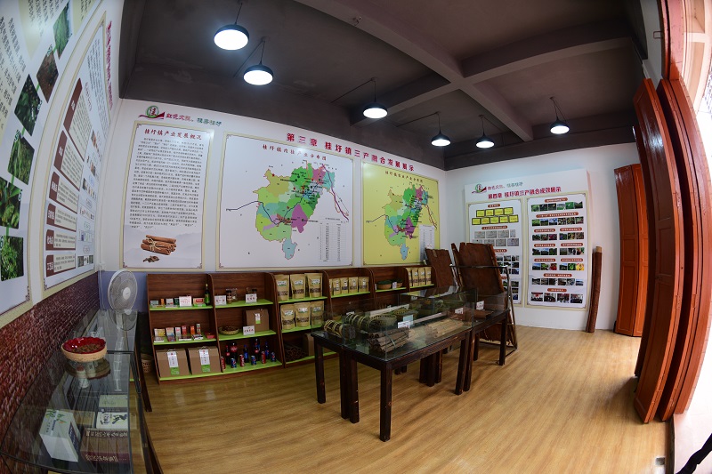 肉桂展示馆--苏华康摄.JPG