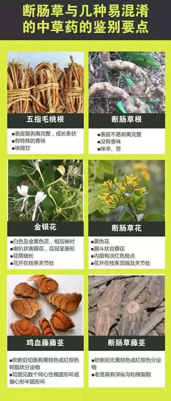 图片9.jpg