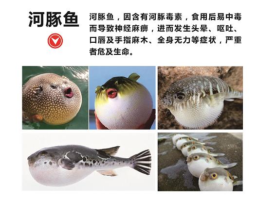 图片10.jpg