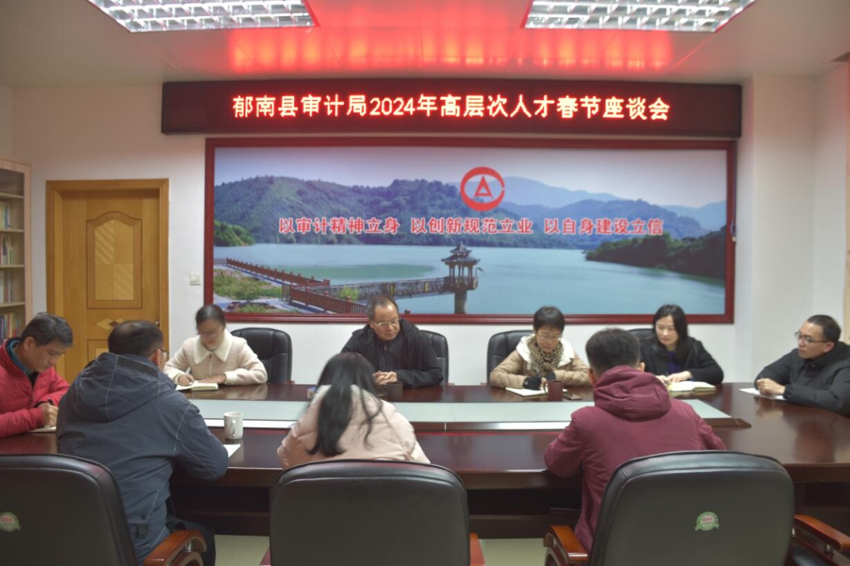 以高层次专业性提升审计工作质效1。30.wps_1