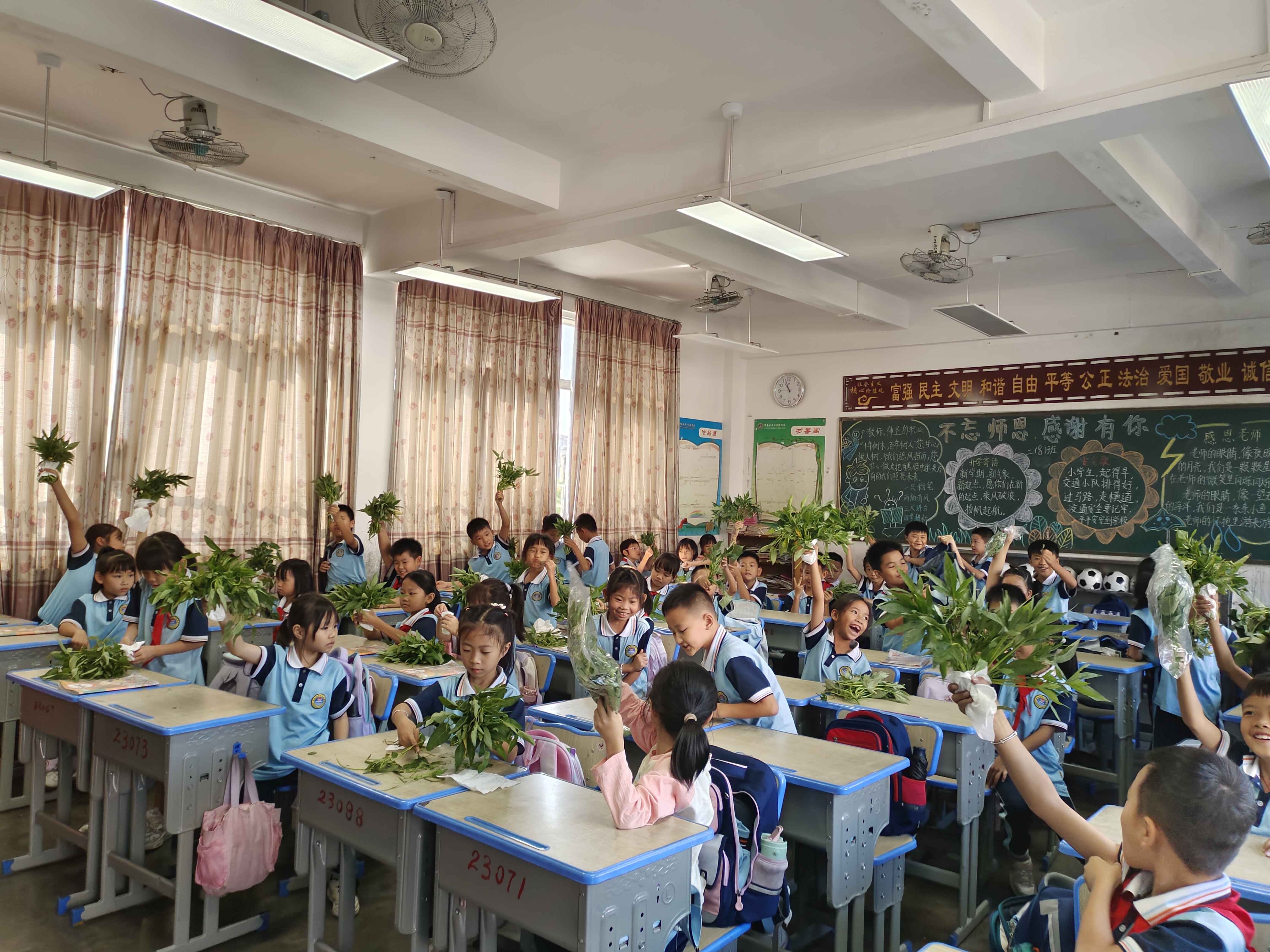 微信图片_20241126155845.jpg