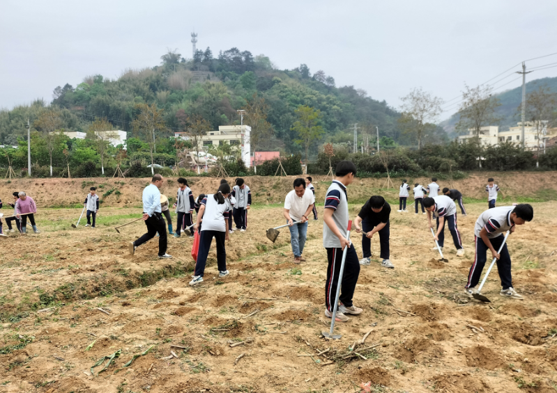 桂圩镇初级中学学子赴桂圩龙岗村劳动教育基地开展农耕实践活动3.png