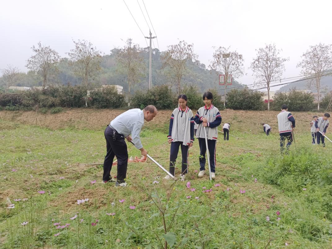 桂圩镇初级中学学子赴桂圩龙岗村劳动教育基地开展农耕实践活动2.png