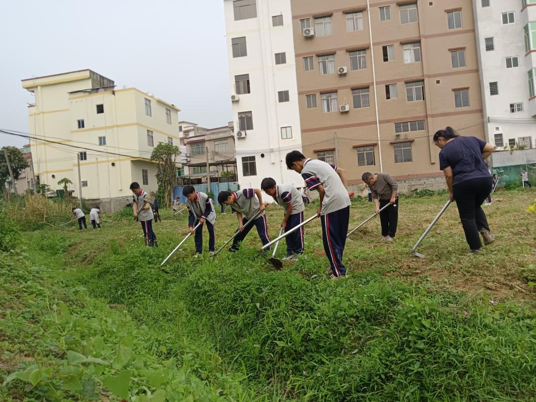 桂圩镇初级中学学子赴桂圩龙岗村劳动教育基地开展农耕实践活动1.png