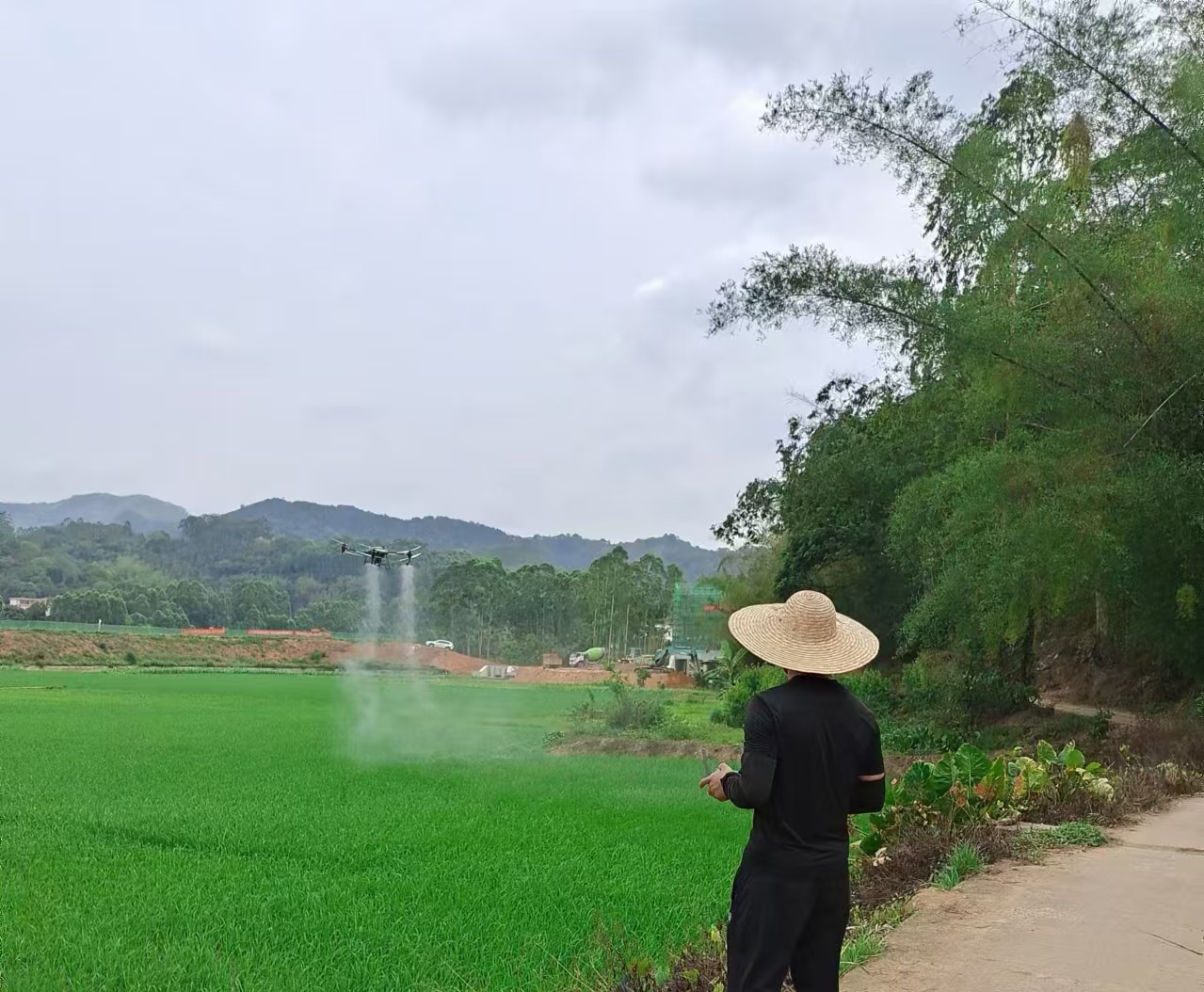 谢桂权开展无人机植保.jpg