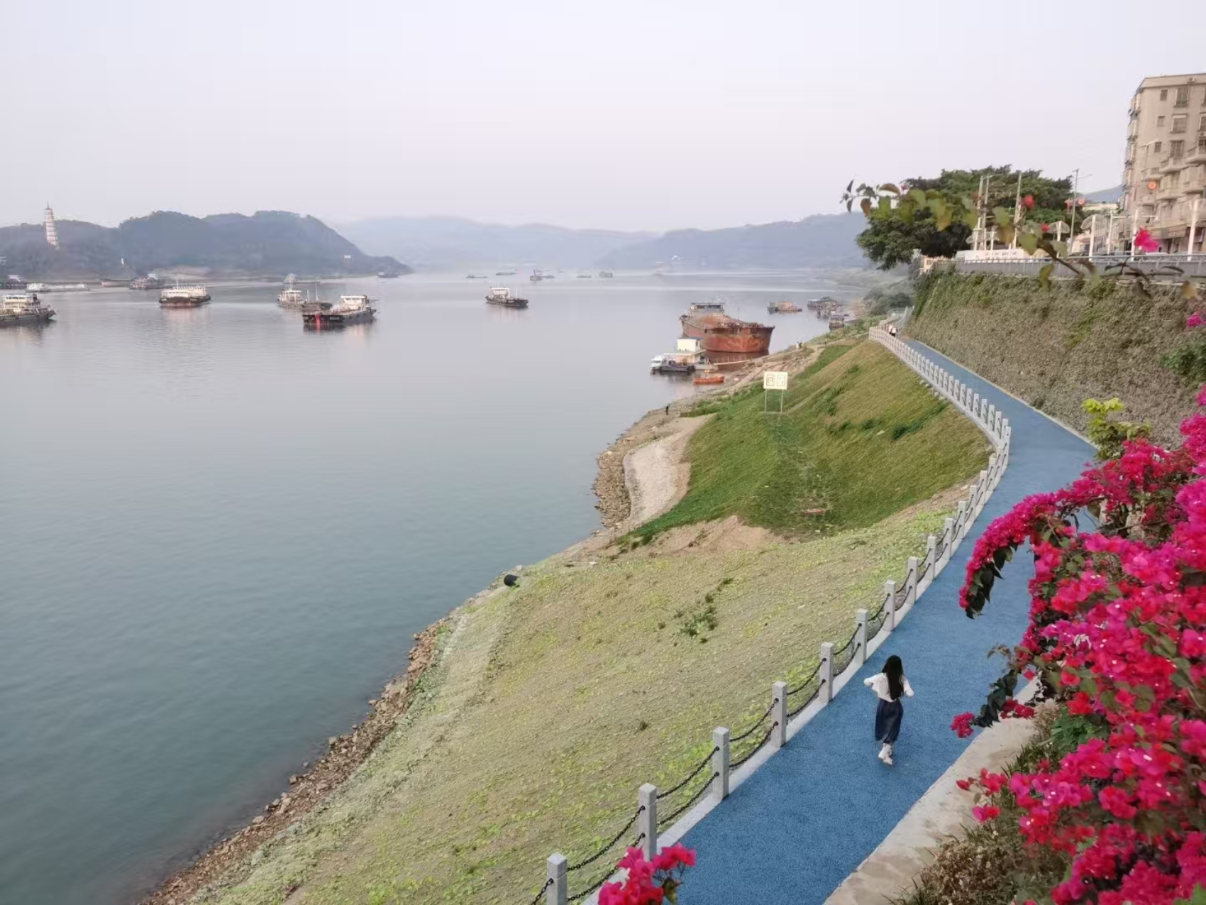 生态碧道.jpg