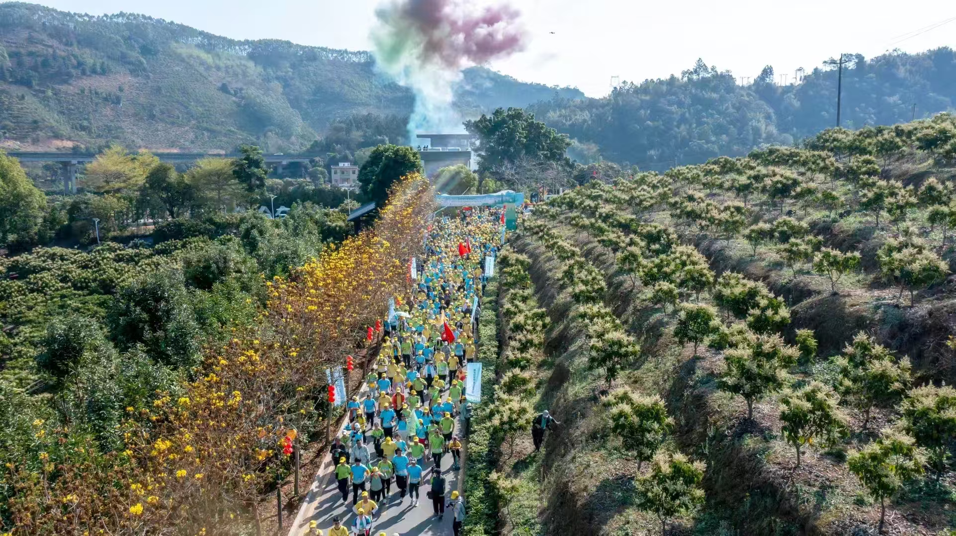 图片.jpeg