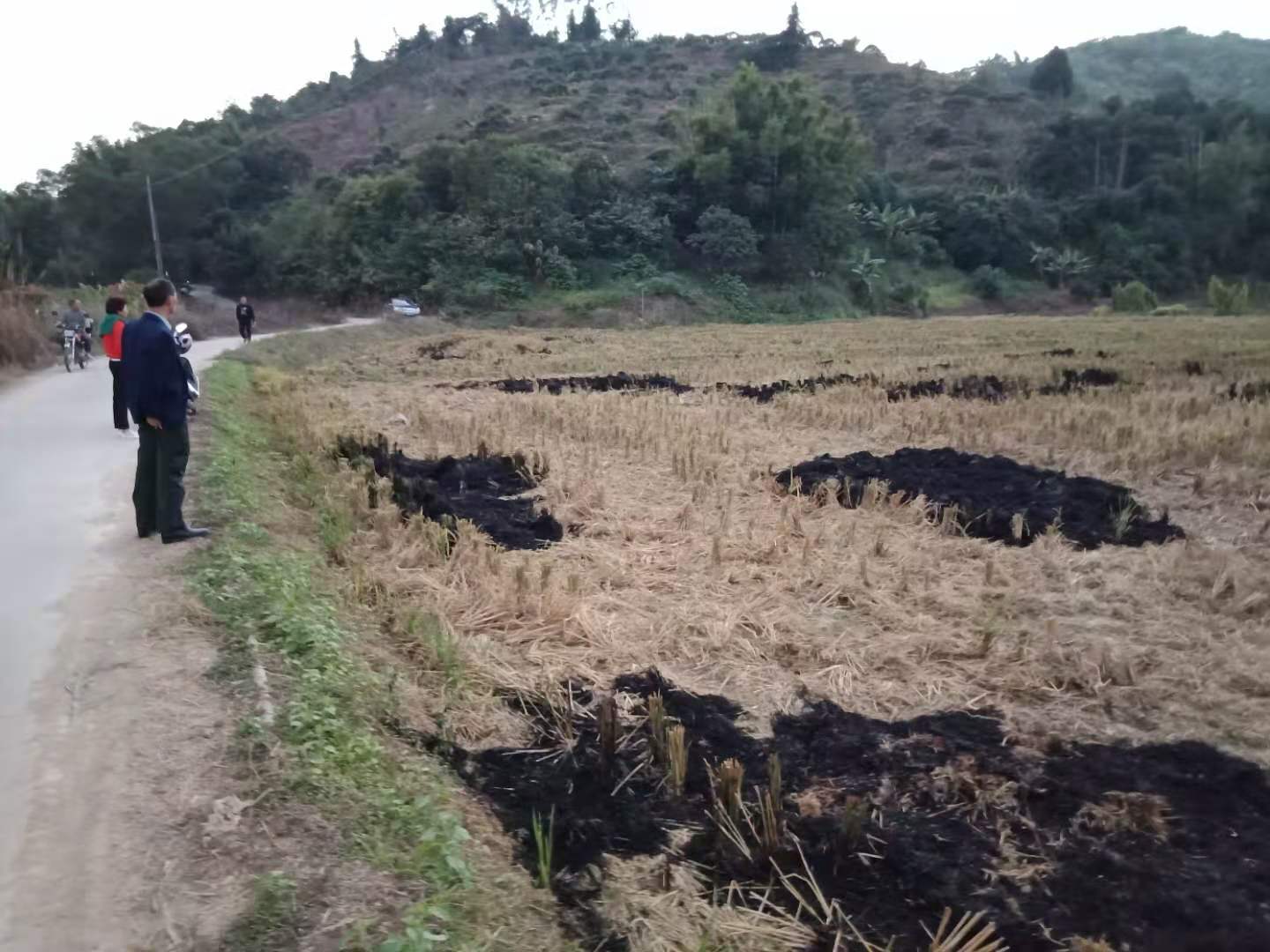 微信图片_20201203093313.jpg
