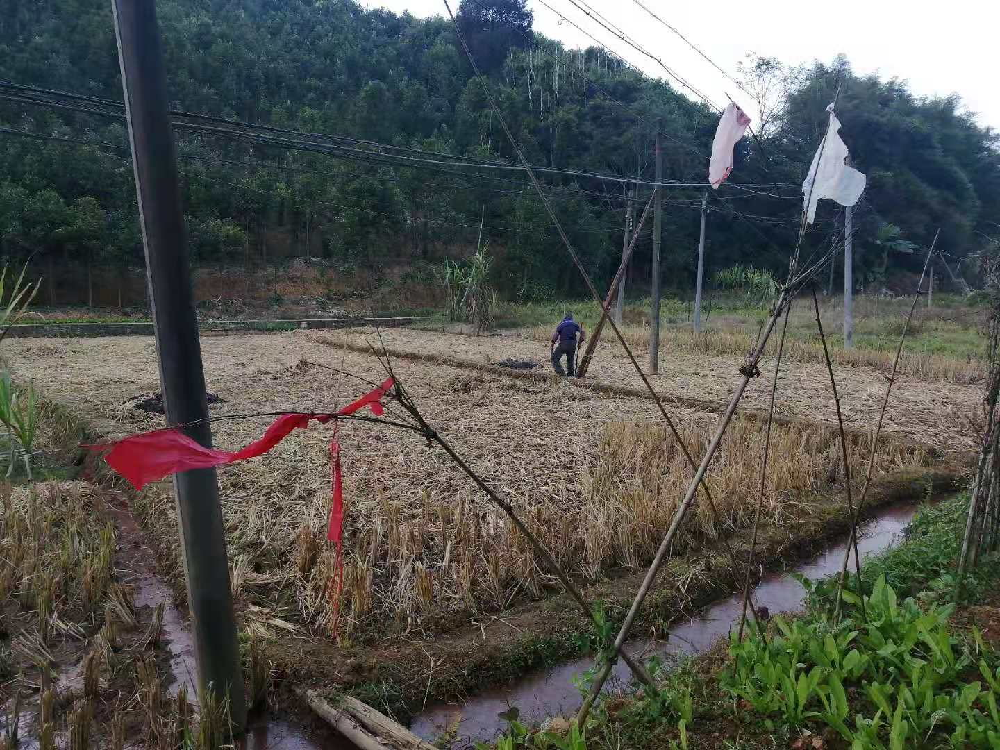 微信图片_20201208095011.jpg