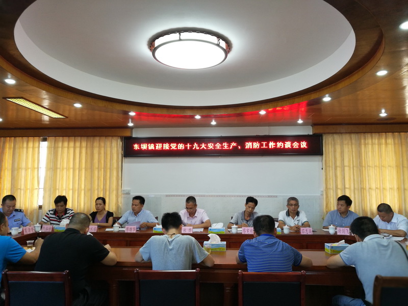 东坝镇:召开迎接党的十九大安全生产、消防工