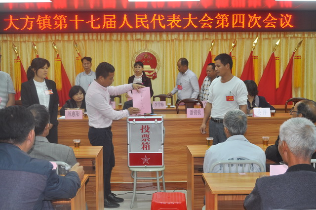 大方镇人口_大方县人民政府 预警公告 我县1站大雨预警公告(2)