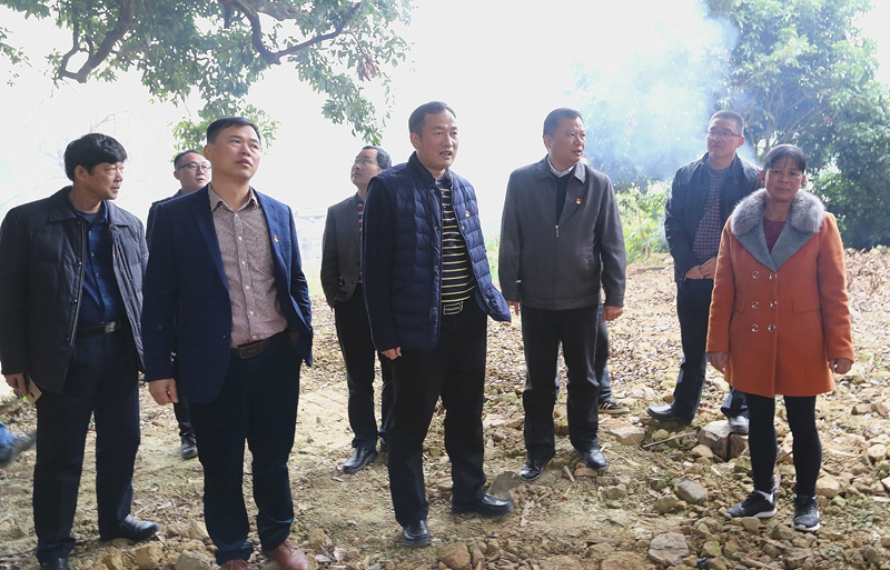 梁子财:做细做实扶贫工作 实施乡村振兴战略