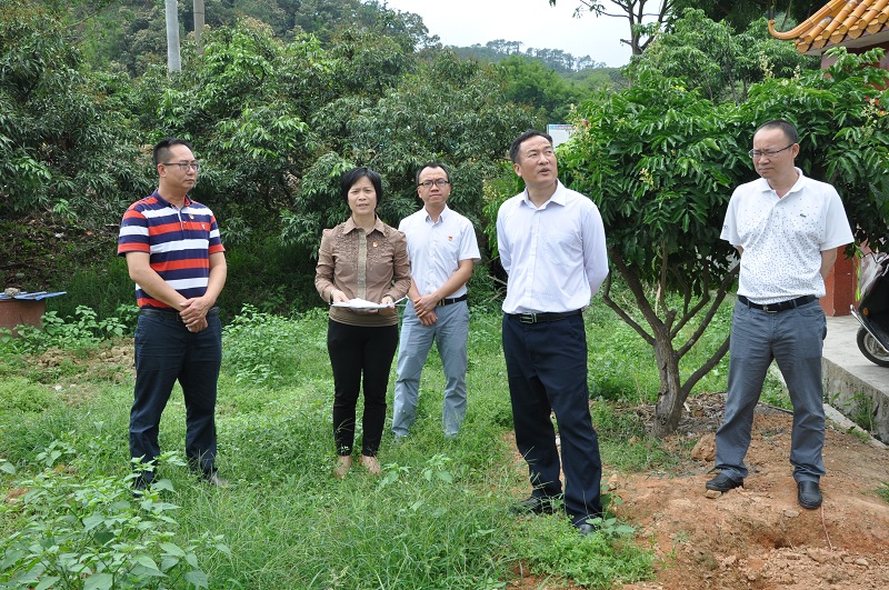 梁子财寄语宝珠镇以党建引领 推动乡村振兴 建