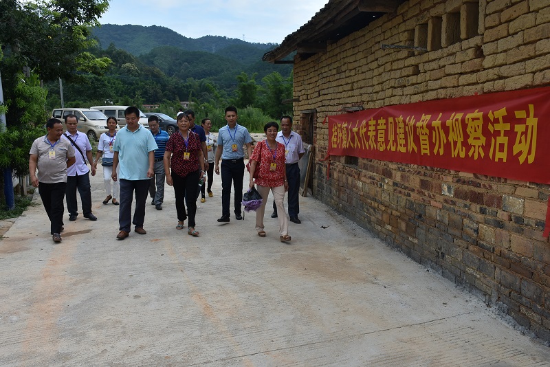 桂圩镇:开展人大代表意见建议办理视察活动,助