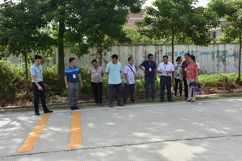 桂圩镇:开展人大代表意见建议办理视察活动,助