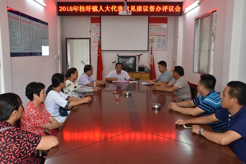 桂圩镇:开展人大代表意见建议办理视察活动,助