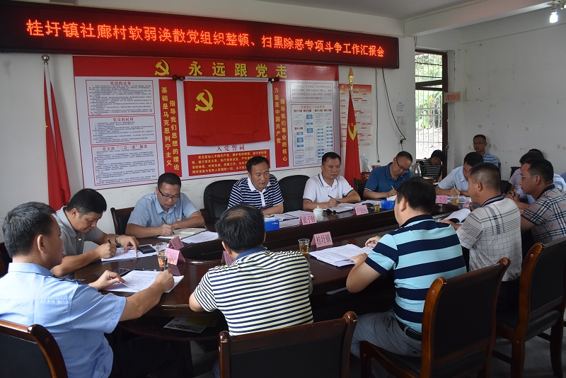 廊村督导挂点软弱涣散党组织整顿、扫黑除恶专