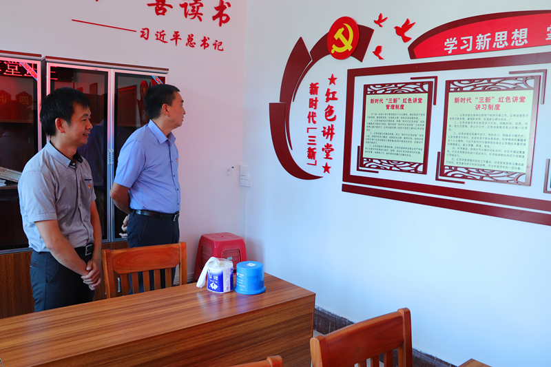 县领导韩新锋要求通门:发挥党建引领 推进乡村振兴