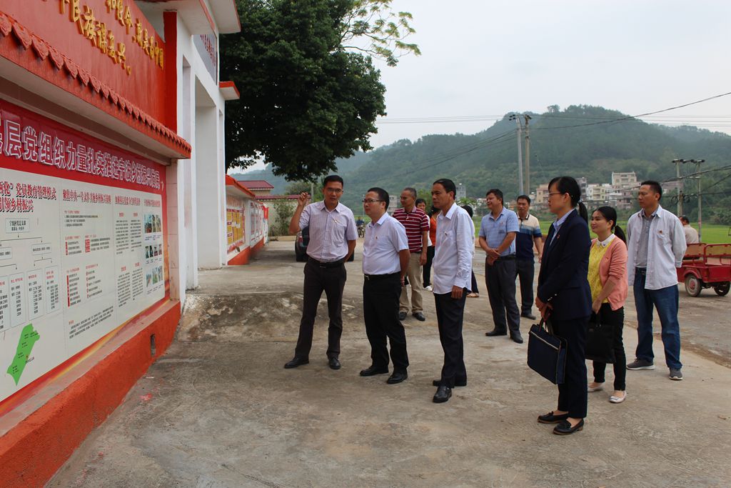 宋桂:县领导冯志刚到宋桂镇调研督导基层党建