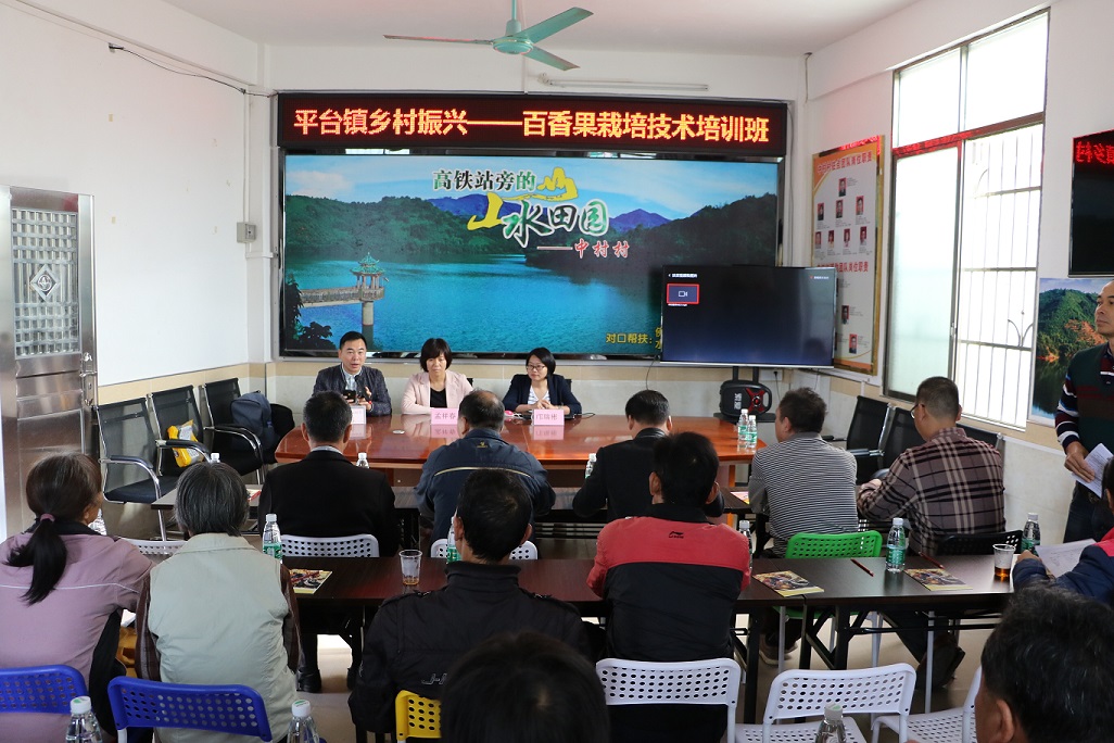 平台:中村村举办百香果高产栽培技术培训班,推