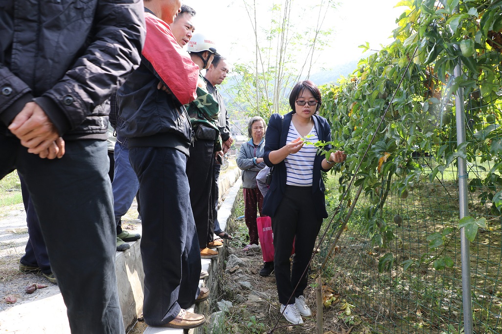 平台:中村村举办百香果高产栽培技术培训班,推