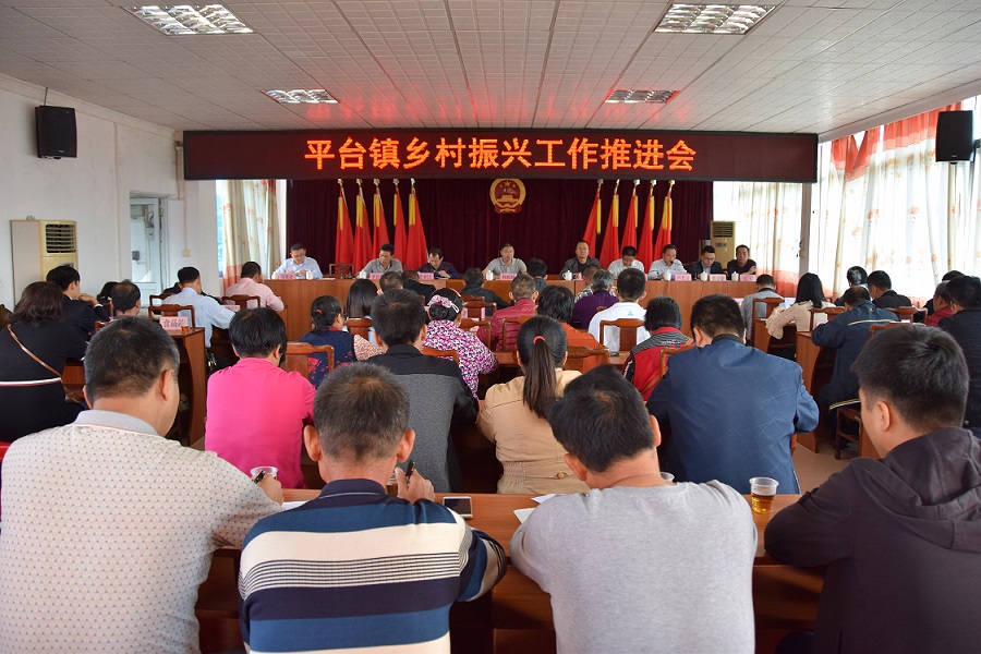 平台:再动员、再部署,推进乡村振兴工作