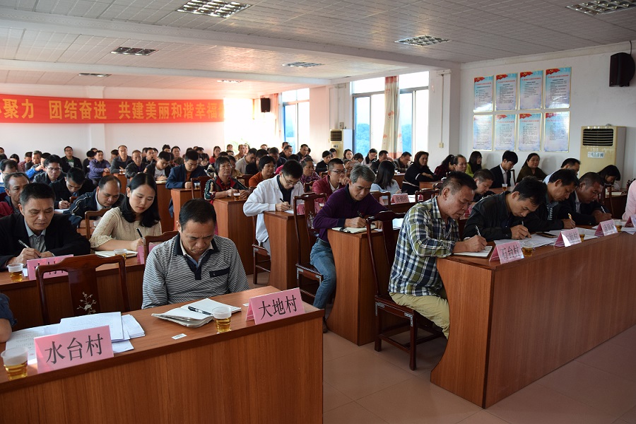 平台:再动员、再部署,推进乡村振兴工作