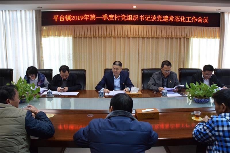 平台镇召开2019年第一季度村党组织书记谈党