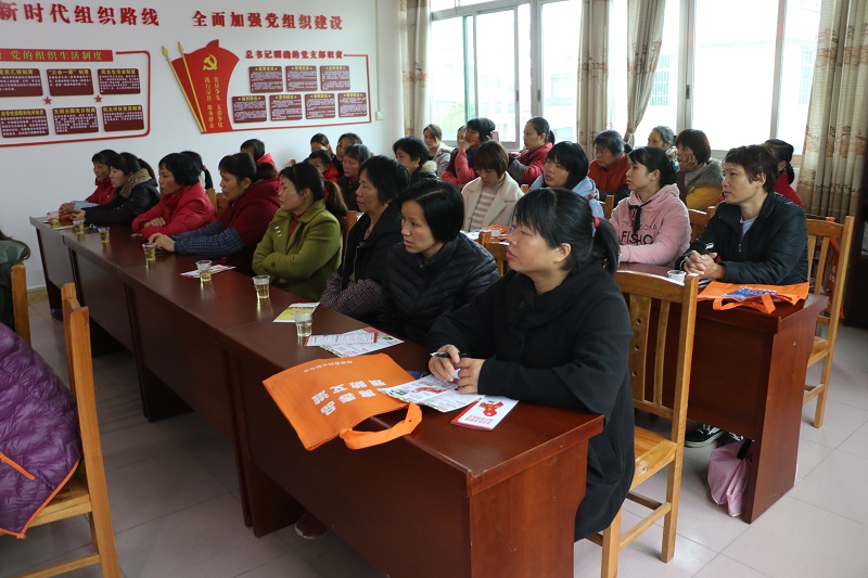 郁南县平台镇开展妇女创业小额担保贷款系列活