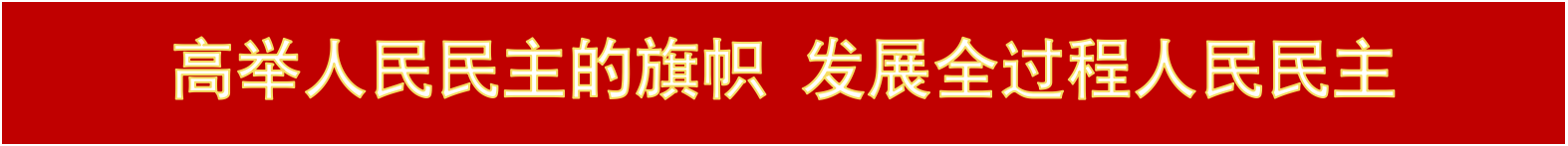 高举人民民主的旗帜 发展全过程人民民主