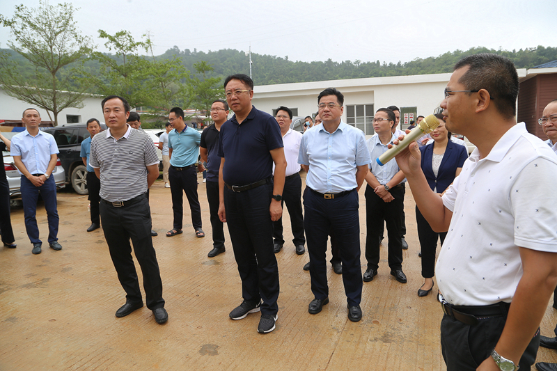 龙圩区委领导到我县参观考察乡村振兴等工作