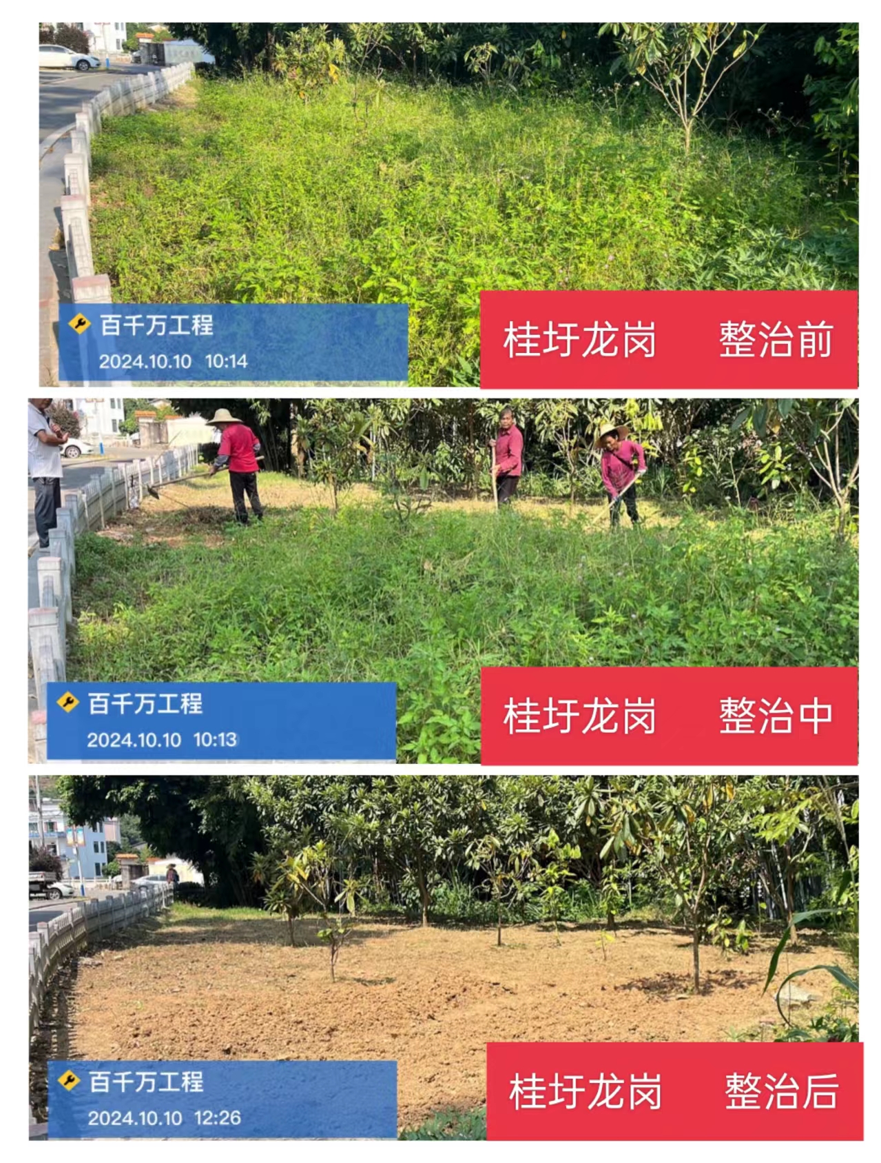 整治前中后对比图.jpg