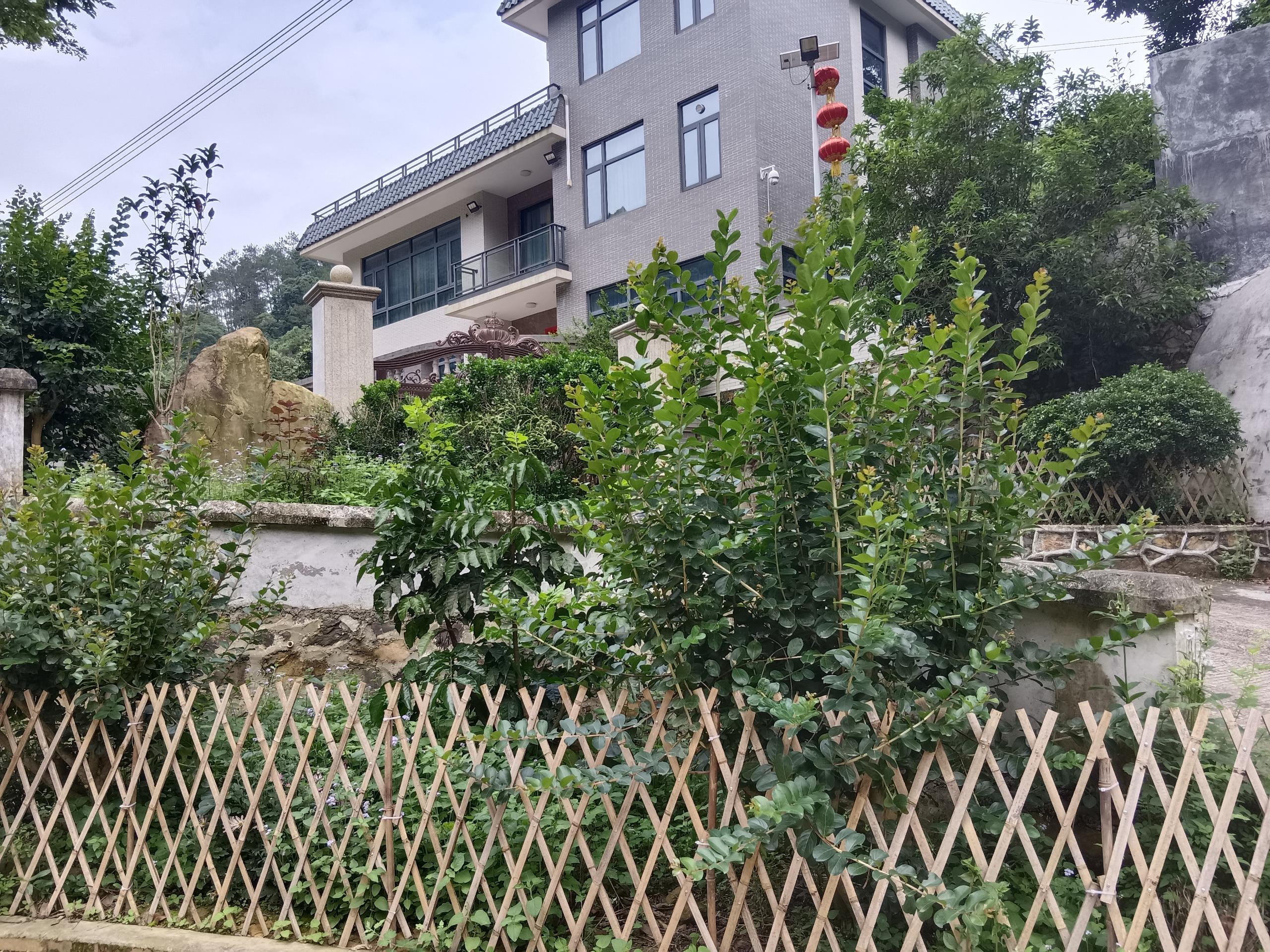 西坑村莫日友户.jpg