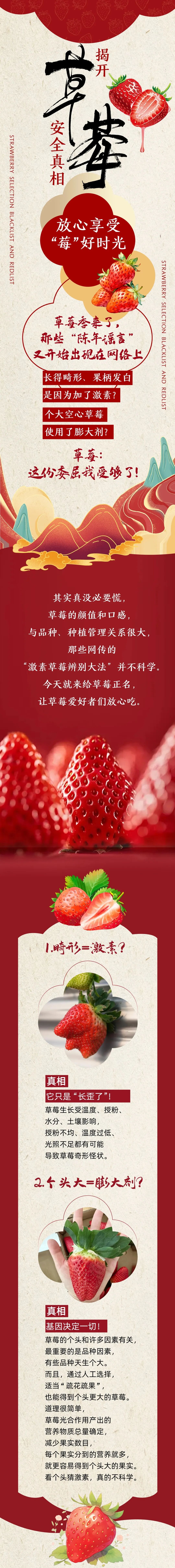 附件：原图（一图读懂关于草莓的真相，你不放心的一次讲清）.jpg